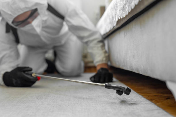 Professional Bed Bug Control technician working in Carle Place, NY